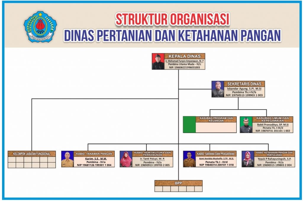 struktur organisasi 2025